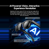 Lunettes Intelligentes W610 avec Caméra 8 Mégapixels Wi-Fi Contrôle Tactile Double Microphone Réduction du Bruit Traduction IA Lunettes de Soleil