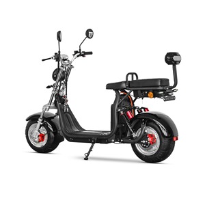 ใบรับรอง EEC COC รถมอเตอร์ไซค์ไฟฟ้า Citycoco <span class=keywords><strong>2</strong></span> ที่นั่ง 1500W 20AH/40AH แบตเตอรี่ลิเธียม ระยะทางวิ่งไกล - Product Image 5