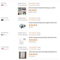 Film PET DTF 30cm 33cm 38cm 60cm, livraison rapide, décapage instantané, revêtement double face pour vêtements, transfert de chaleur pour imprimantes A4 DTF