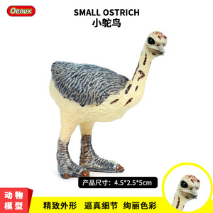 Giocattoli cognitivi per bambini a tema avvocato del deserto africano, modello di simulazione di uccelli e fauna selvatica, ornamenti decorativi. - Product Image 1