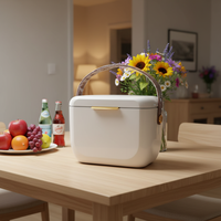 Sangle d'épaule, glacière mini 6L CC, peinture haute brillance, style tendance, boîte à glace pour aliments, canettes, boissons, lait, gâteaux