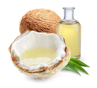 Huile de Coco Vierge en Gros pour Marque Privée, Pressée à Froid, Huile de Massage VCO Pure Naturelle Biologique pour la Beauté