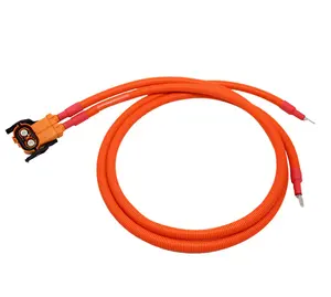 High voltage new energy vehicle charging wiring harness power supply cable with amphenol connector HVC2P80FV235-006