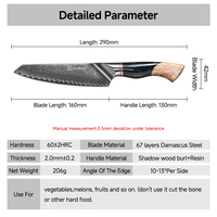 Couteau de chef Gyuto de 6 pouces avec cœur en acier Damas VG10, ultra-affûté, couteau de cuisine japonais avec manche en bois stabilisé et résine