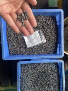 Rache y Feng Bao Rawal para Tambor en Kilos Con Tuerca Sds Bolt Tr20 <span class=keywords><strong>X</strong></span> 4 Tornillo de Perforación M8 25 Mm Tornillos de Altavoz Tornillo - Product Image 6