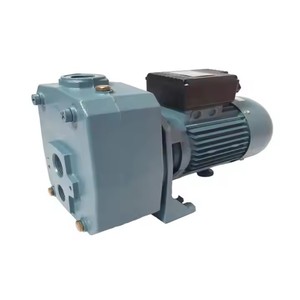 Bomba de agua autocebante de alta presión para pozos profundos con eyector integrado - Product Image 1