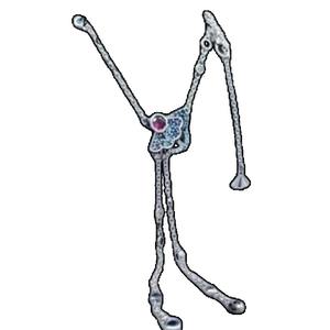 Collar de Plata 925 con Circonita, Colgante de Astronauta, Cruz, Tierra, Flor, Tetera China y Abanico Azul, Joyería de Lujo DIY para Compromiso y Boda - Product Image 5