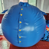 Blueberry Inflatable Costume Game, High Quality Suit