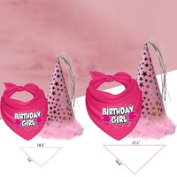 Ensemble d'anniversaire pour animaux de compagnie Baboney : Foulard triangulaire, chapeau d'anniversaire, jouet en forme d'os en polyester style dessin animé pour chats et chiens, toutes saisons