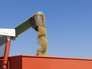 Cosechadora versátil AF88G 88HP de los equipos de la agricultura cacahuetes maíz trigo arroz segador Sierra Leona - Product Image 6