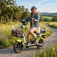 Nouveau vélo électrique à deux roues pour adultes, norme nationale - Approvisionnement transfrontalier direct d'usine