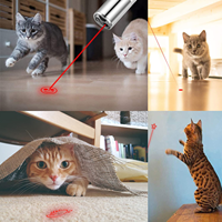 Mini USB ricarica puntatore luce Laser 5 modelli luce LED torcia gatto puntatore Laser giocattolo Laser