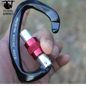 Professionele Karabijnhaak D Vorm 25kn Rotsklimgesp Beveiliging Master Lock Outdoor Bergbeklimmen Speleologie Apparatuur