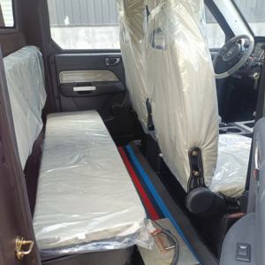 Camioneta Eléctrica con Batería de Litio y Sistema Híbrido - Product Image 4