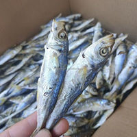 Nouvelle saison, qualité supérieure, sans sable, fruits de mer séchés au soleil naturels, poisson scad rond entier, petits yeux, scad 10 kg, qualité d'exportation, vente en gros
