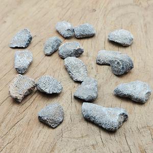Venta al por Mayor de Piedra de Coral de Alta Calidad, Material en Bruto de 3-5cm, CrystalHola, Tendencia de Moda para Decoración del Hogar, Regalo Educativo o de Colección - Product Image 4