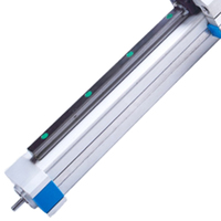 Sistema de Movimiento Lineal en Miniatura SR45, Actuador Lineal de Husillo de Bolas, Carga Útil de 10-15 kg para Equipos de Precisión