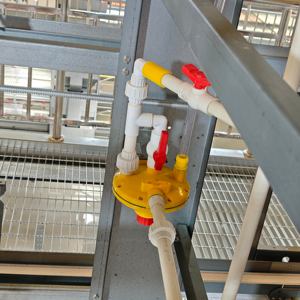 Gallinero Galvanizado Tipo H <span class=keywords><strong>de</strong></span> Múltiples Niveles con Eliminación Automática <span class=keywords><strong>de</strong></span> Estiércol, Material Plástico <span class=keywords><strong>de</strong></span> Larga Duración para Granjas Avícolas - Product Image 1