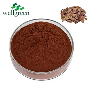 Reliable Factory Supplier Natural High Quality 95% Proanthocyanidins Pine Bark Extract