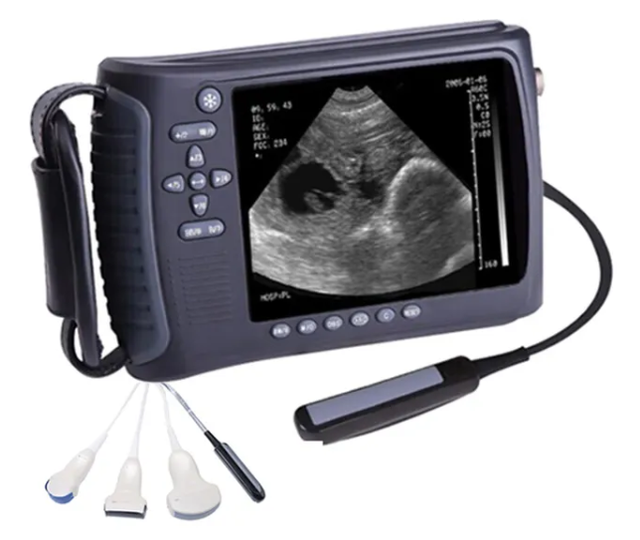Professional Factory Cow Ultrasound Scanner Veterinary Portable