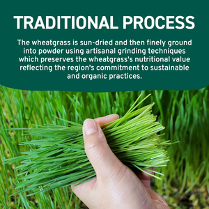 Polvere di erba di grano naturale pura polvere di erba d'orzo polvere di succo di erba di grano - Product Image 3