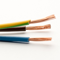 Harga Terbaik Pasokan Terpercaya 300/450/750V Konduktor Tembaga Padat Kabel Listrik PVC untuk Proyek Bangunan