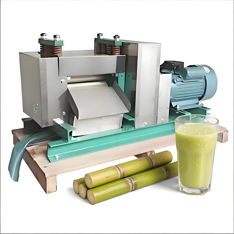 2026 New Style Commercial Juicer Top