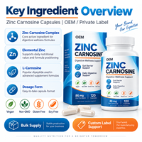Capsules de Zinc Carnosine Pratiques pour le Soutien de la Barrière Intestinale – Soin Digestif Quotidien pour Adultes – Vente en Gros OEM, Marque Privée, Approvisionnement