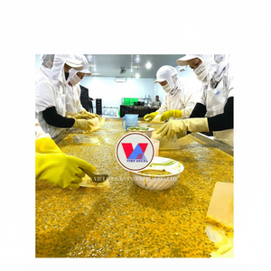 PULPA DE FRUTA DE PASIÓN CONGELADA/COLOR Y SABOR VIBRANTE/LISTO PARA SUPERMERCADOS CADENAS ALIMENTARIAS Y MERCADOS DE EXPORTACIÓN A GRANEL - Product Image 1