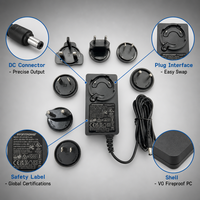 Adaptateur secteur mural 48W 12V 4A/2A DC avec équipement de sport et de beauté certifié SAA PSE KC