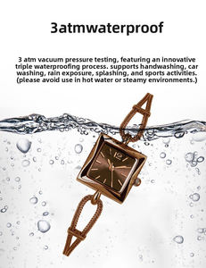 2025 Style rétro femmes en gros Simple petit cadran carré mince chaîne Quartz alliage boîtier résistant à l'<span class=keywords><strong>eau</strong></span> montres décontracté - Product Image 3