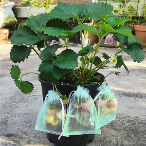 Sacs en filet anti-insectes QIAN LI pour fraises, raisins, figues, avec cordon de serrage, protection des fruits, filet de jardinage - Product Image 1