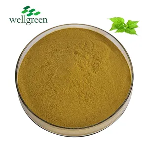 Wellgreen Low Price Urticae Urtica Dioica Radix Stinging Root Nettle Leaf Extract Powder