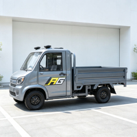 Camion de livraison robuste, camionnette électrique à 4 roues, 800 kg, auto-déchargeante, usage commercial et domestique, avec certificat EEC
