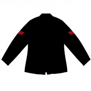 Manteau d'hiver 100% laine, fait main, brodé, à manches longues, simple boutonnage, style uniforme - Product Image 2