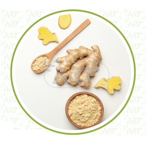 Poudre de gingembre moulu de haute qualité pour des utilisations culinaires, y compris les mélanges d'épices, les mélanges d'assaisonnement et les recettes traditionnelles - Product Image 1