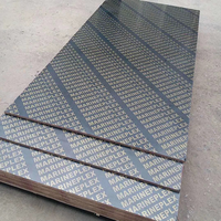 Contrachapado de Álamo Recubierto con Film, 18mm 4x8, Tableros Laminados Marinos para Encofrado, Tablero de Construcción Fenólico