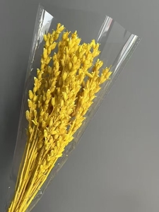 2025 Nuevo beleño conservado para decoraciones de bodas y decoraciones navideñas - Product Image 2