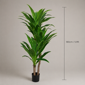 Dracaena Artificial al por Mayor, Árbol de <span class=keywords><strong>Limón</strong></span> Falso en Maceta, Planta de Maíz Artificial, Dracaena Falsa para Decoración de Interiores - Product Image 6