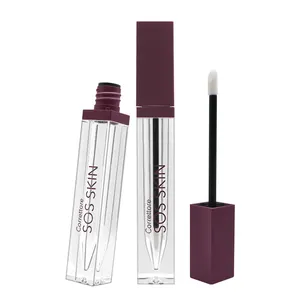 Transparent Square Plastic Lip Gloss Tube With Brush Lipstick Bottle/Concealer Bottle