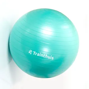 Özel logo en çok satan Anti-burst Fitness egzersiz istikrar Yoga topu jimnastik topu 45cm 55cm 65cm 75cm 85cm 95cm