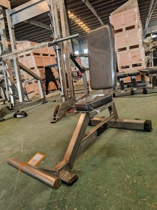 Banc <span class=keywords><strong>utilitaire</strong></span> vertical ALPHA - Équipement de musculation commercial pour la musculation et l'entraînement complet de fitness, unisexe - Product Image 5