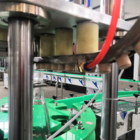 Machine automatique de bouchage et de capsulage de bouteilles d'alcool en acier inoxydable, machine de pressage de bouchons de bouteilles d'alcool conformes aux normes nationales