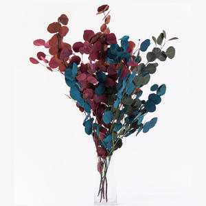 Hojas de eucalipto de manzana inmortal, hojas de eucalipto preservadas secas, flor para ducha, boda, Fiesta en casa, jarrón, decoración de relleno - Product Image 3