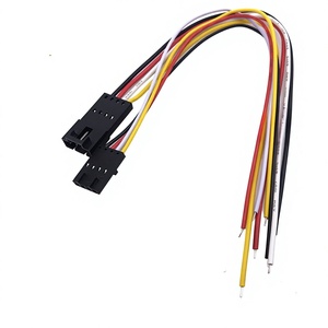 Hete verkoop Dupont 2.0mm 2-pins zuivere koperen geleider 12V gecertificeerde kabelboom voor auto's en machines - Product Image 5