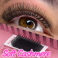 Cachemire mat foncé le plus sombre B CC D C Curl Lash Extension Trays 2025 Extensions de cils à courbure classique