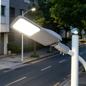 Lámpara LED de Calle AC con Clasificación IP65, Carcasa de Aluminio, Sensor de Encendido/Apagado Automático, Garantía de 5 Años, Alto CRI 70, para Exteriores, Carreteras y Estacionamientos FL-LD-Y - Product Image 1