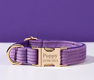 Purple Bowtie Set Personalized Leather Rivet <b>Dog</b> Collar and Leash with Free Engraved Name for Wedding Gift-Nylon & Corduroy - Product Image 6