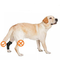 Bandage en néoprène pour les chiens, soulage la douleur, enveloppant les articulations des jambes