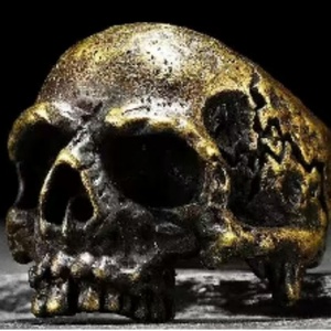 Instock Man Skull Steel <b>Ring</b> Retro Punk Hip Hop <b>Titanium</b> Stainless Steel <b>Rings</b> Trendy 316L Gold Silver <b>Rings</b> for Men - Product Image 2